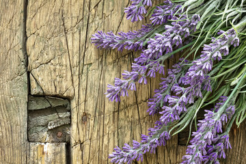 lavender on vintage wood