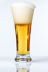 most refreshing beer in the world 6