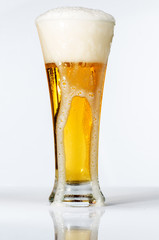 most refreshing beer in the world 5