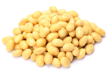 soybean