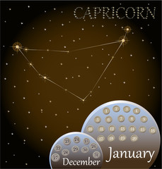 Obraz na płótnie Canvas Calendar of the zodiac sign Capricorn.