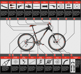 Fototapeta premium High-detailed hardtail MTB scheme