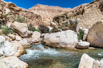 Fototapeta na wymiar Water flows through the Western Jordan in Wadi Hasa