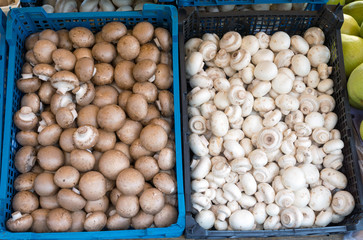 Brown and white champignons
