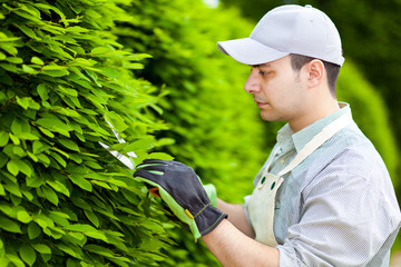 Gardener at work