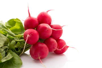 Radish.