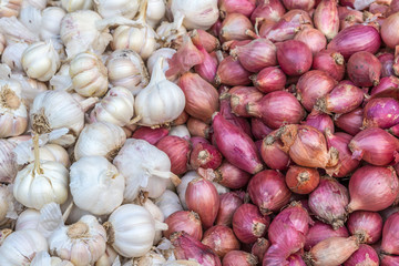 Fresh garlic and red onions