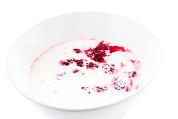 Fresh yogurt with  blackberry in a white bowl,closeup