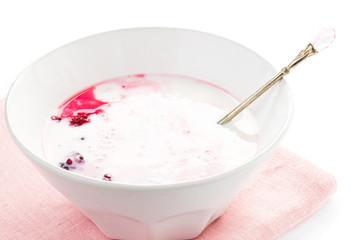 Fresh yogurt with  blackberry in a white bowl, isolated