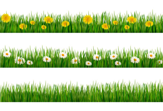 Three nature backgrounds of green grass with dandelions and dais