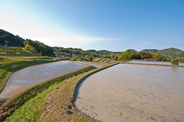 新緑の山並みと棚田