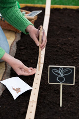 Gardening - woman sowing seeds into the soil