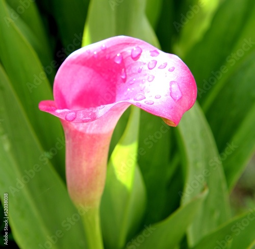 500_F_52038038_4YP0cCFQsjclhdjUzjR5u29aEXJFT4pN.jpg