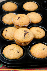 Pumpkin muffins