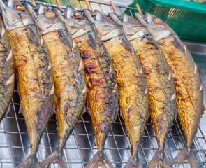 saba fish