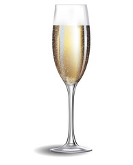 Champagne glass isolated