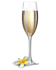 Champagne glass and frangipani flover isolated
