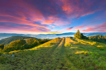 Colorful summer sunset in the mountains.