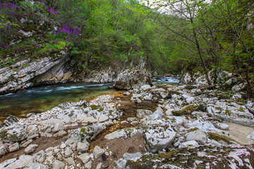 Waterfalls and mountain stream in the forest in spring