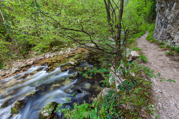 Obraz premium Waterfalls and mountain stream in the forest in spring