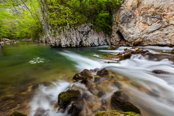 Waterfalls and mountain stream in the forest in spring