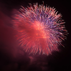 Red fireworks in the night sky