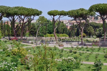 Fototapeta na wymiar Roseto comunale di Roma