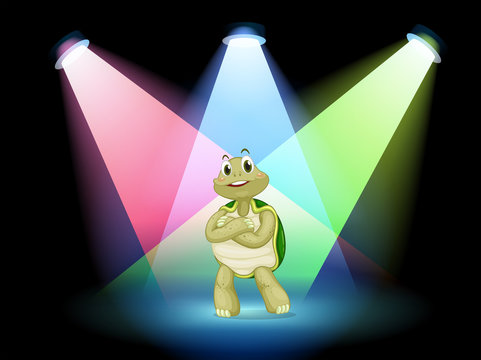 A turtle standing at the stage