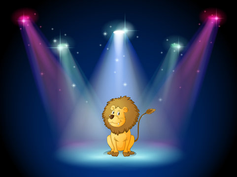 A lion sitting with spotlights