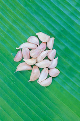 Dried garlic on green leaf