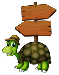 A turtle under an empty arrowboard