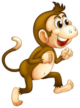 A monkey running