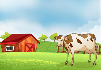 A cow in the farm with a barn house
