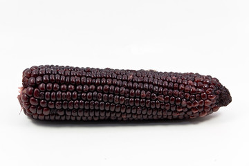 corn
