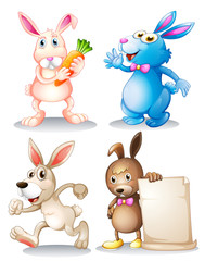 Obraz na płótnie Canvas Four rabbits