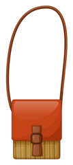 A fashionable slingbag
