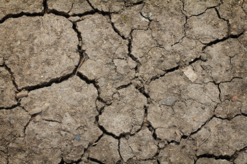 Cracked by the heat long lifeless soil ground global warming con