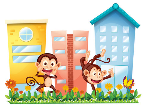 Two monkeys dancing in front of the buildings