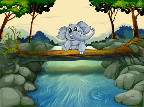 An elephant crossing the river
