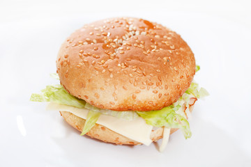 cheeseburger on the white plate