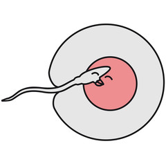 Seed, ovulation , kiss, sex, fertilization , pregnant, baby , sp