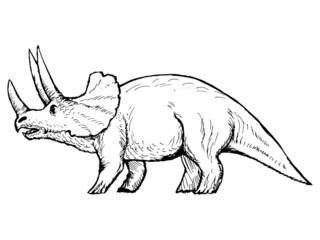 triceratops