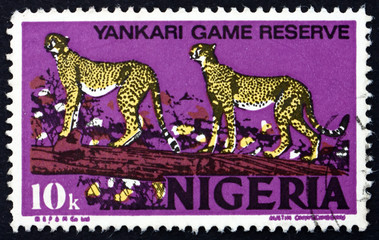 Postage stamp Nigeria 1973 African Leopards