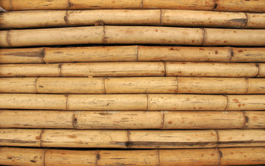 Bamboo wall