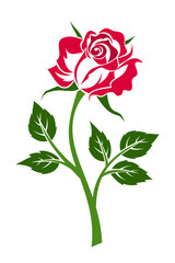 Obraz premium Red rose with stem. Vector illustration.