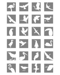 birds icon