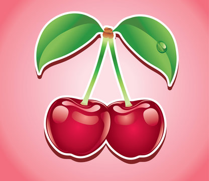fresh cherry fruit