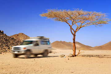 Jeep safari on the desert in Egypt