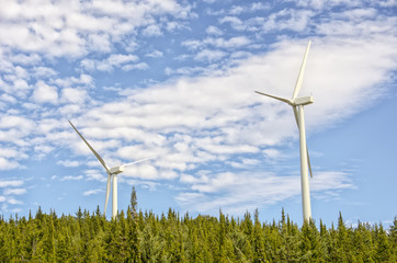 Wind turbine generating electricity