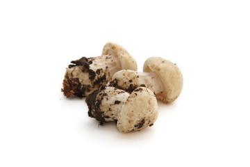 Champignons